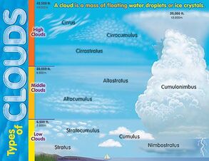 Look up! Cloud Observations